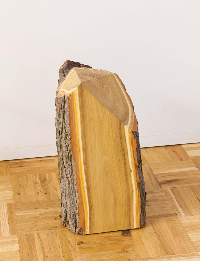 Woods, Corners, Martino Gamper for Prada, Galleria Vittorio Emanuele, Milano © Prada