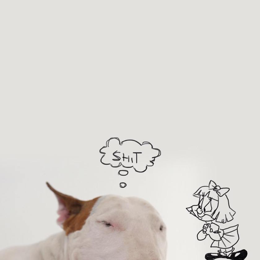 10411203_571108379692282_3083831239279180537_n