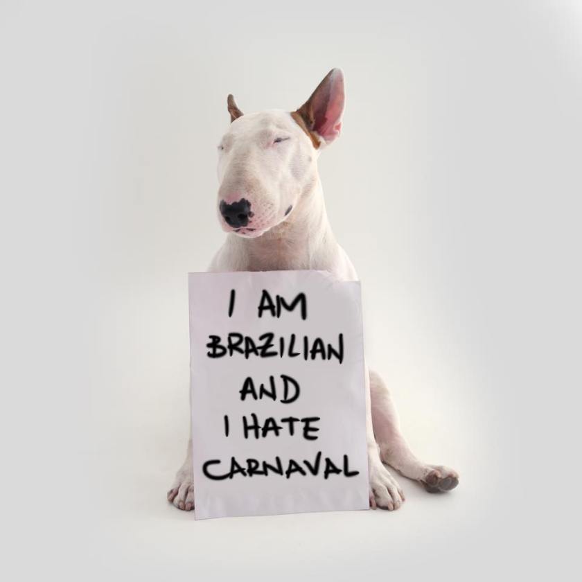 10660271_587175644752222_826443356277480024_n