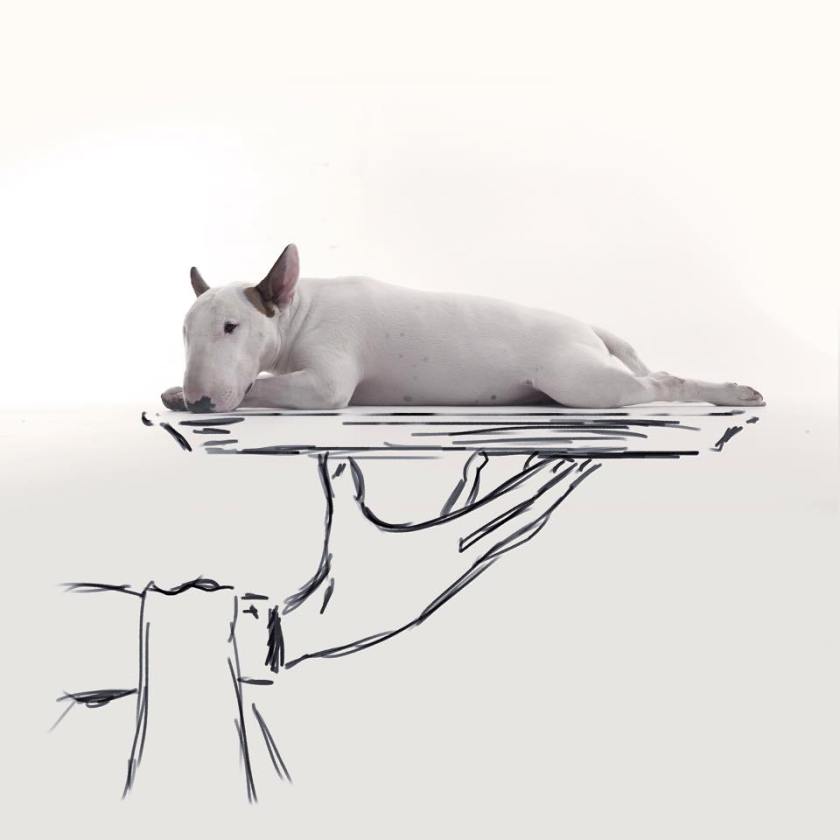 10888903_574586469344473_4520678664295454828_n