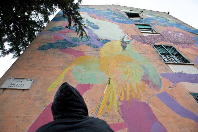 10974438_799253806797037_2270895060080223593_o