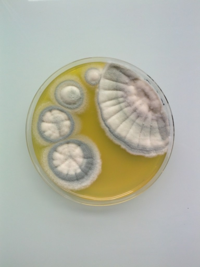 mw9h7zENTm1rfxttzo1_1280