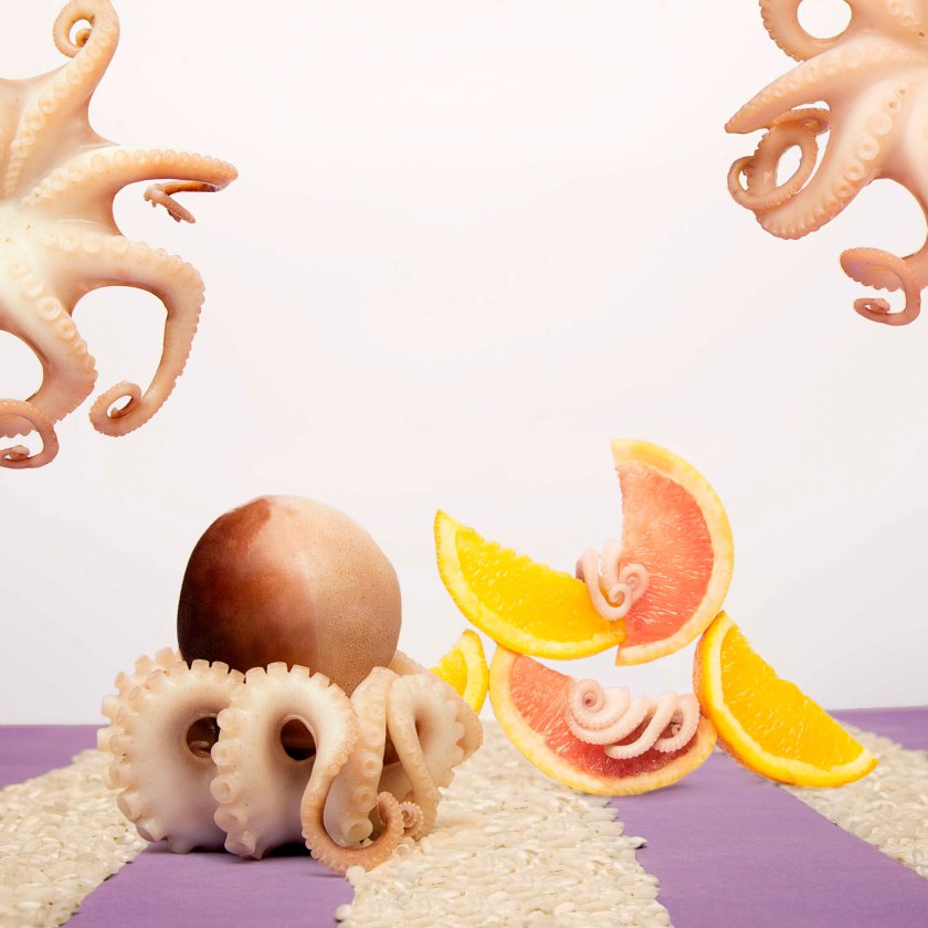 the-wonders-taste-by-francesca-fattori-6