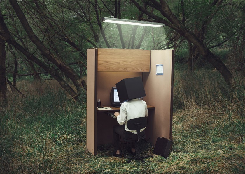 Untitled (cubicle).