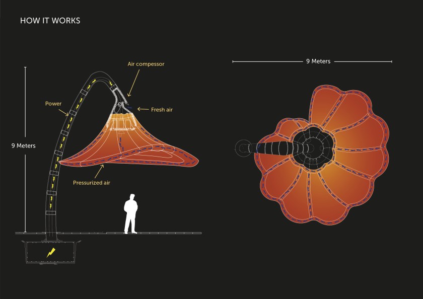 Plan and section of a single flower with technical notes.