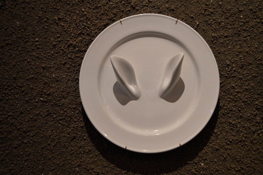 Curiosity, decorative plate, Sam Baron for Petite Friture.