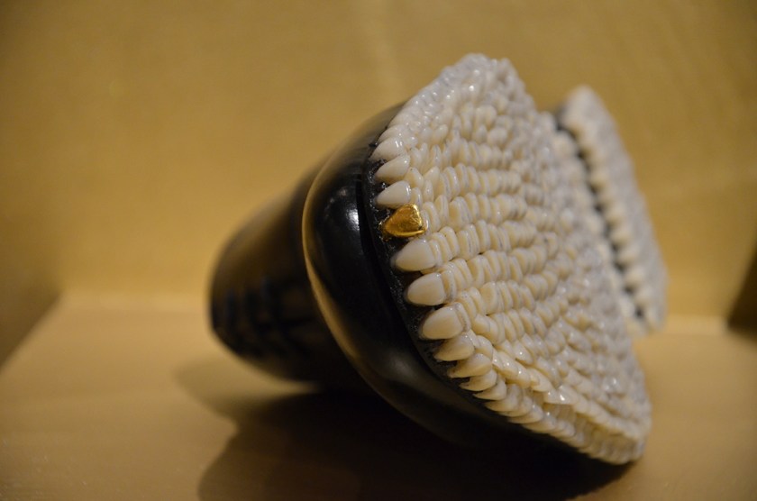 Oxfords, [project: Apex Predator - Darwinian Voodoo], Mariana Fantich + Dominic Young.