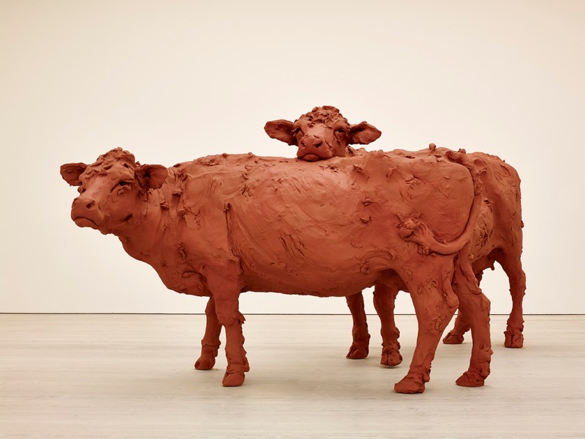 Stephanie Quayle, Two Cows, 2013. Image courtesy of the Saatchi Gallery, London