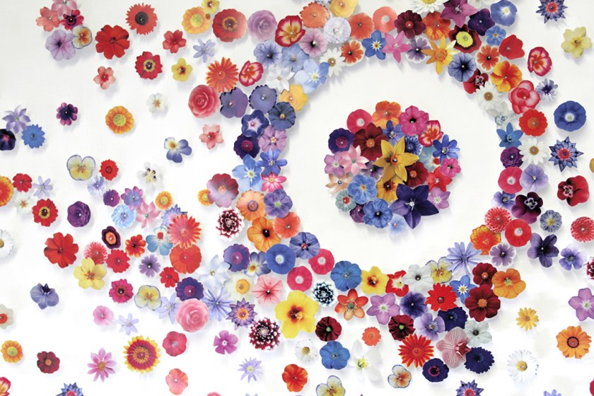 Where have the flowers gone.