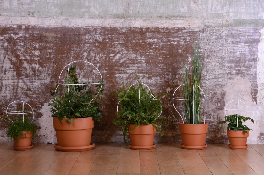 Outline, plant frames by Daniel Rous for Eno Studio.
