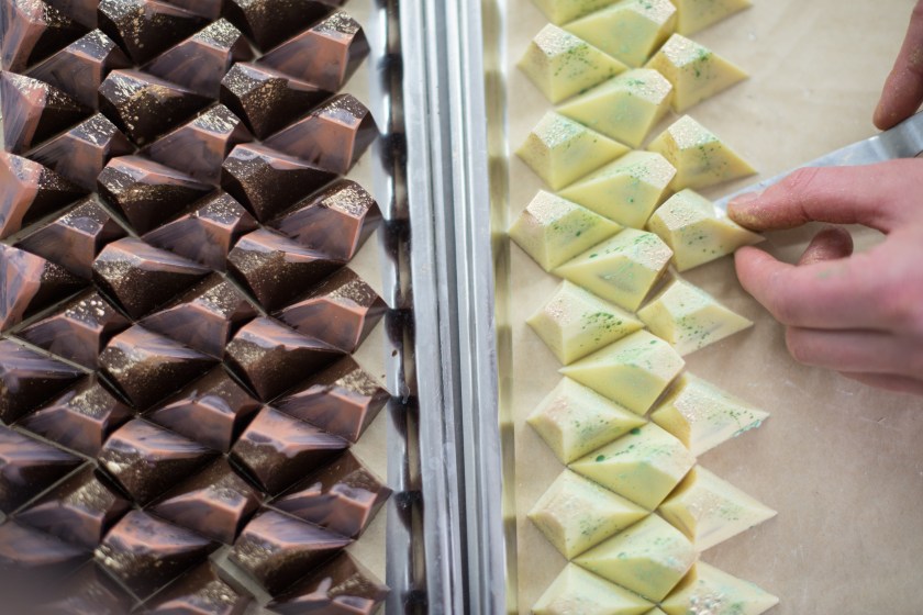 bild-pujan-shakupa-10